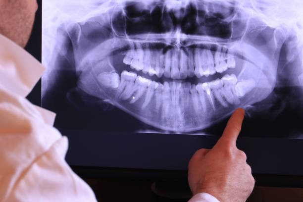 Best Emergency X-Rays and Diagnostics in Wheelersburg, OH